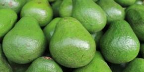 US DEMAND INCREASING FOR TROPICAL FRUITS - MEXICO A KEY SUPPLIER