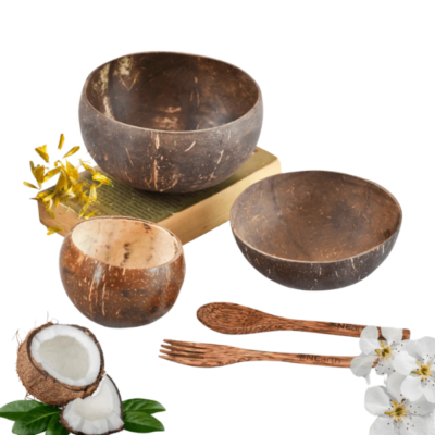 coconut shell bowl