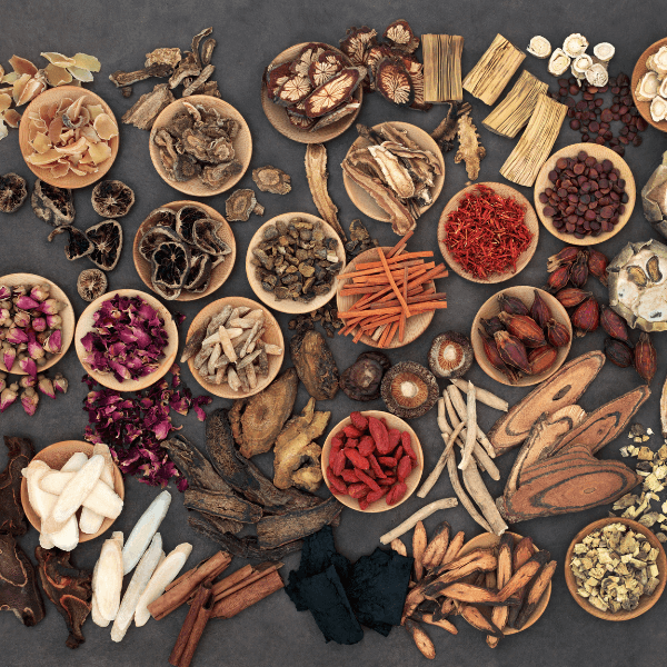 hình 2 thảo mộc ở trang chủ