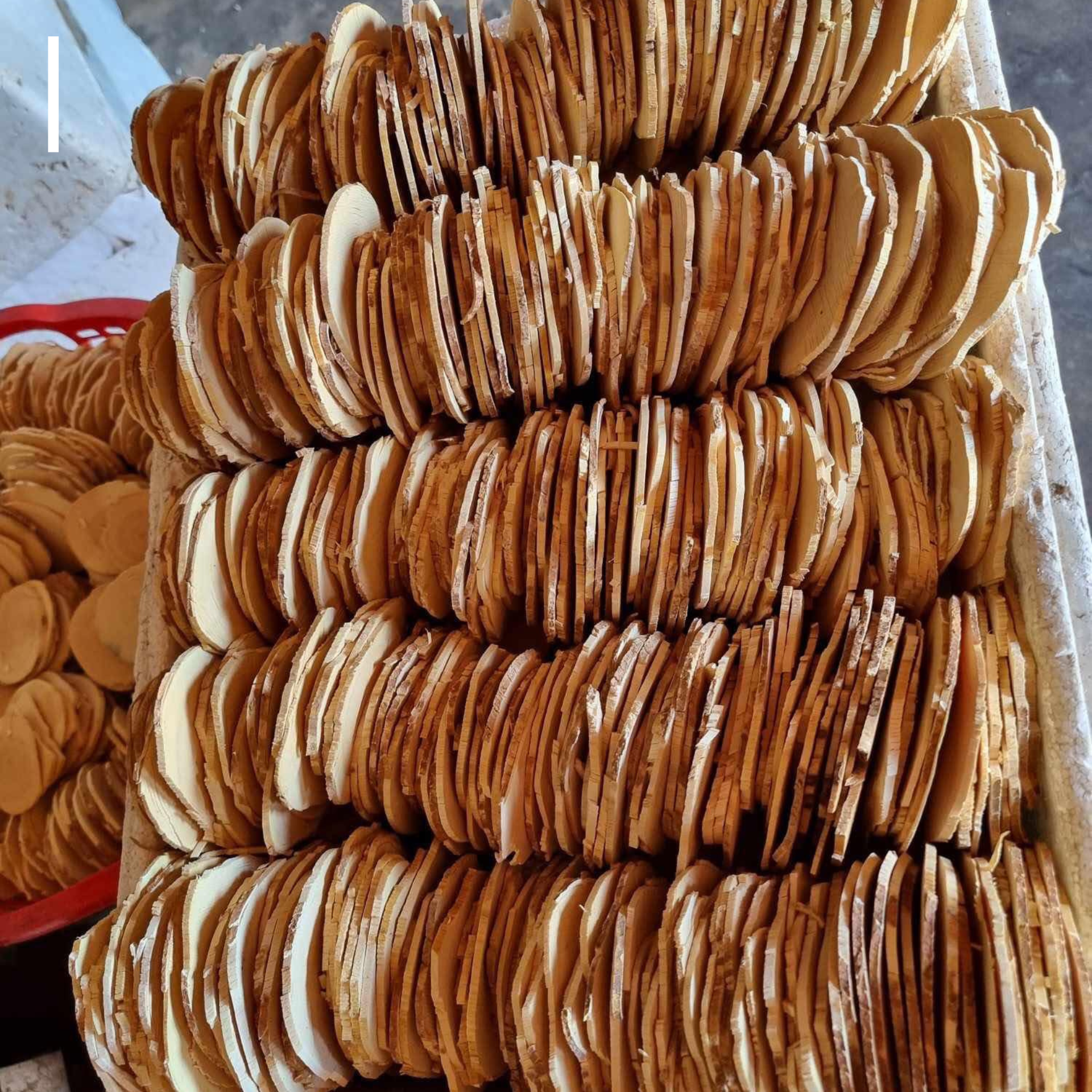 Tongkat Ali - Image 3