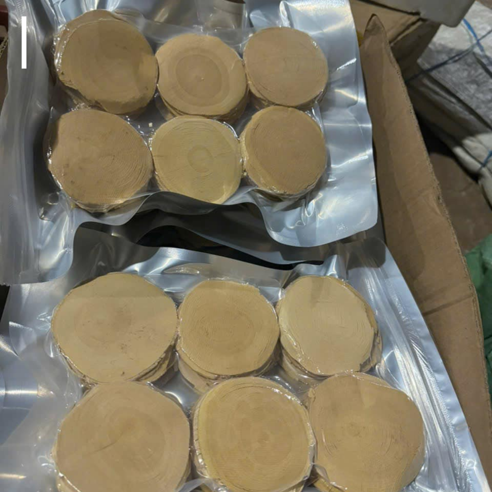 Tongkat Ali - Image 6