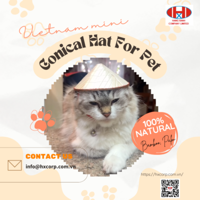 Conical Hat For Pet