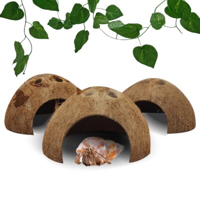 Coconut Shell Hideouts For Pets