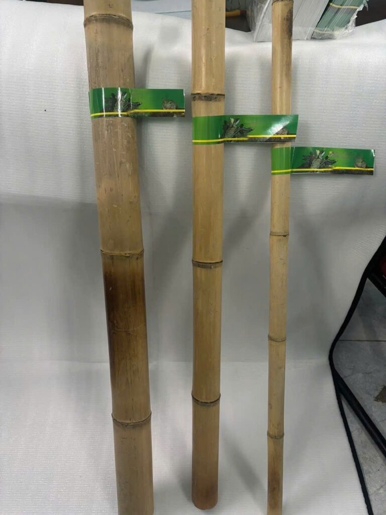 Natural Bamboo Climbing Stick For Reptiles - Xuất nhập khẩu Hàng Xanh